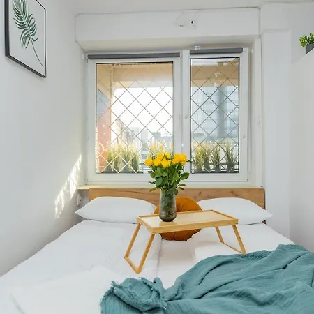 Shortstaypoland Zlota *